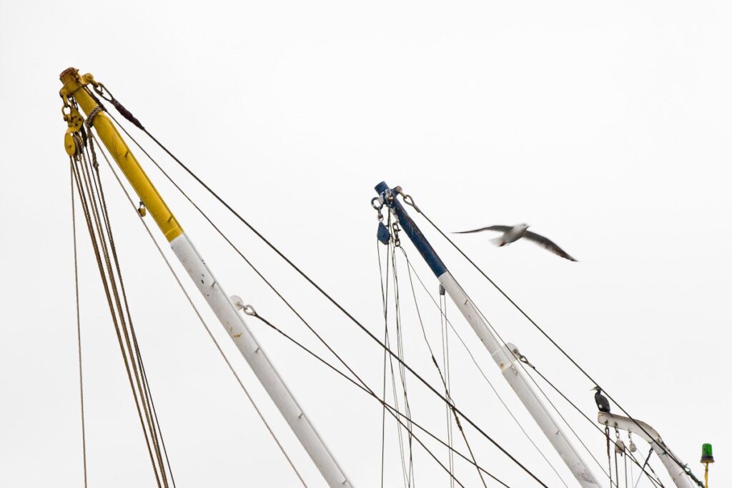 Sailboat masts with colorful rigging and soaring seagull under overcast sky.