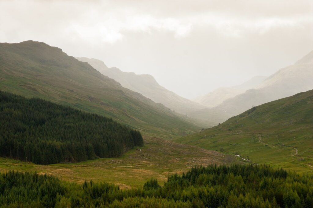 Tranquil misty mountain valley with lush forests, vast grassy fields, and majestic cloud-covered peaks.