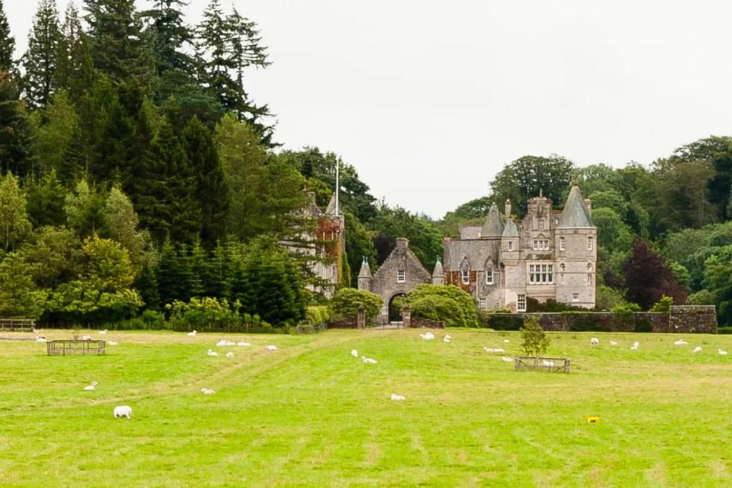 Grand stone mansion in lush green setting with grazing sheep, forest backdrop, and tranquil atmosphere.